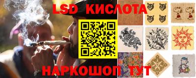 гидропоника Краснокаменск
