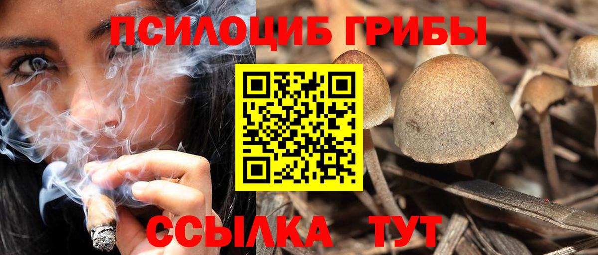 Галлюциногенные грибы GOLDEN TEACHER  Псилоцибиновые грибы Psilocybine cubensis  Вход с VPN  Кемерово 