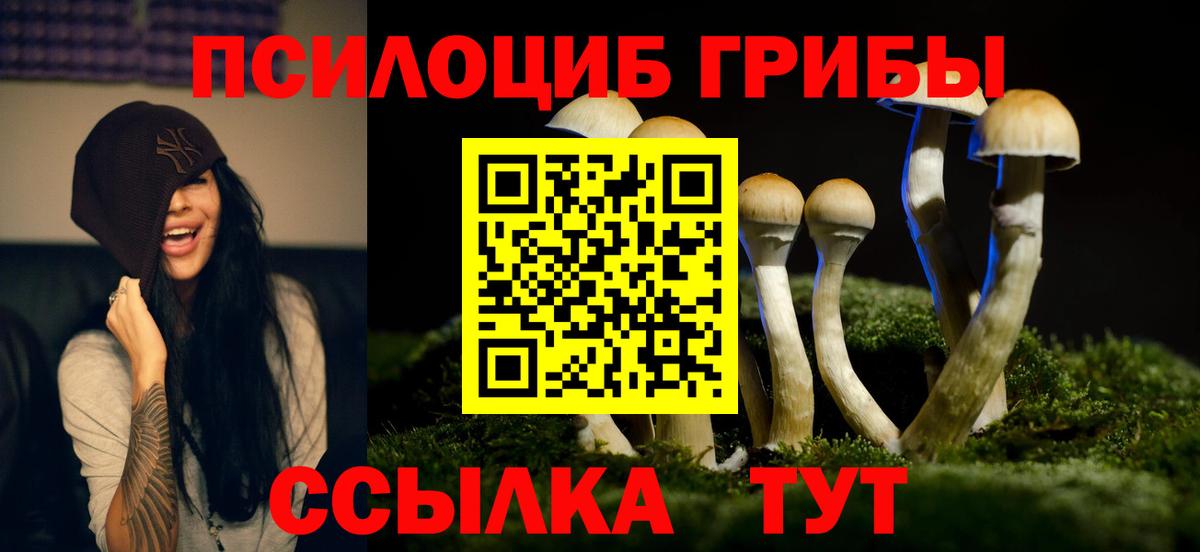 Псилоцибиновые грибы MAGIC MUSHROOMS Кемерово
